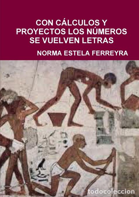 Libri: CON C&Aacute;LCULOS Y PROYECTOS LOS N&Uacute;MEROS SE VUELVEN LETRAS - NORMA ESTELA FERREYRA