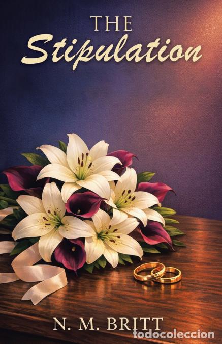 Libros: The Stipulation - N. M. Britt - Foto 1