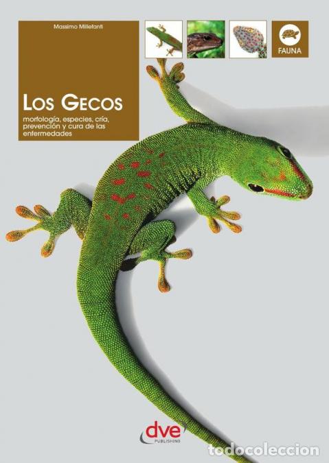 Libros: Los gecos - Massimo Millefanti