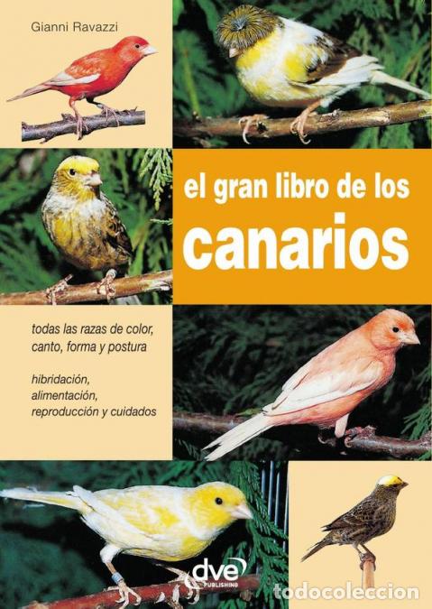 Libros: El gran libro de los canarios - Gianni Ravazzi - Foto 1