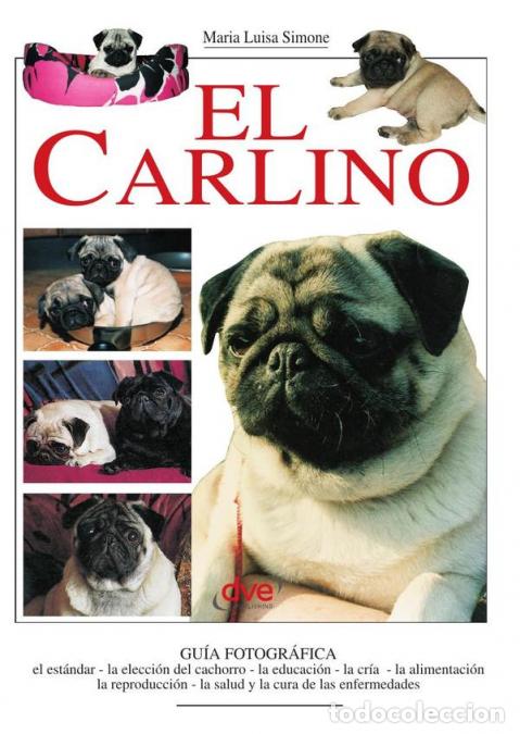 Libri: El carlino - Luisa Simone