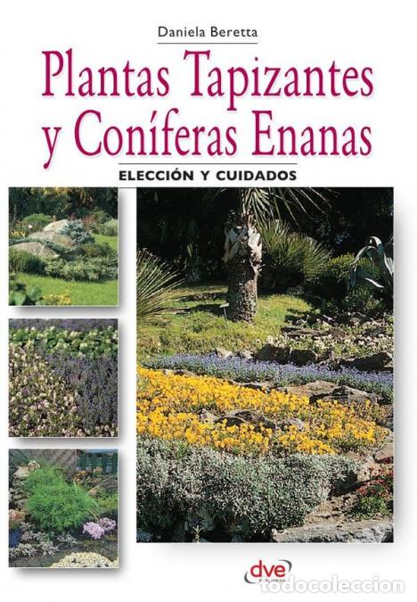 B&uuml;cher: Plantas tapizantes y con&iacute;feras enanas - Daniela Beretta