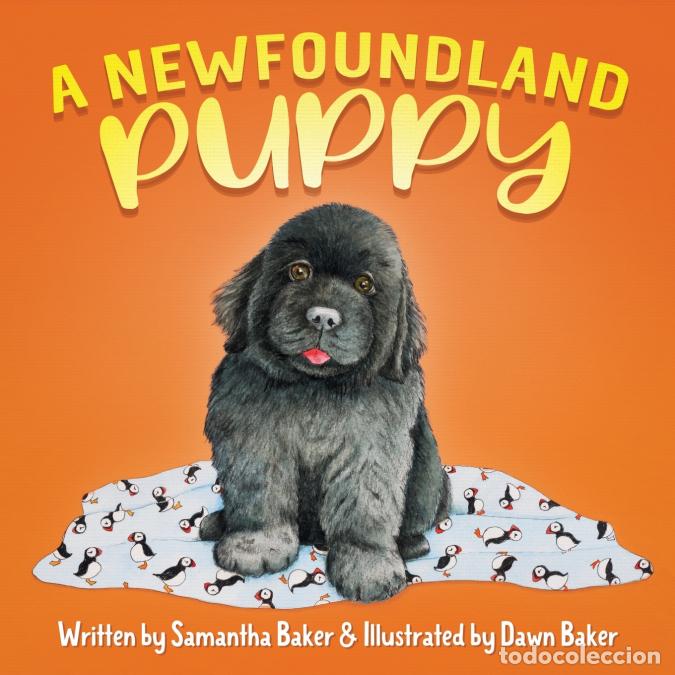 B&uuml;cher: A Newfoundland Puppy - Samantha Baker,Dawn Baker