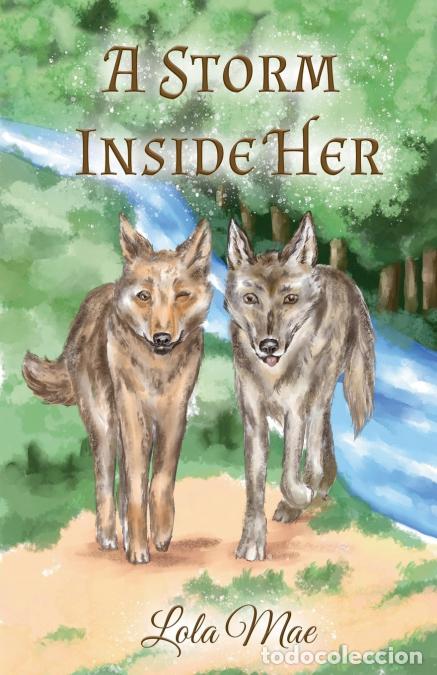 B&uuml;cher: A Storm Inside Her - Lola Mae