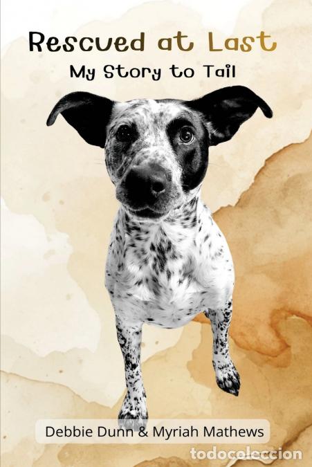 Livros: Rescued at Last - Mathews,Debbie Dunn
