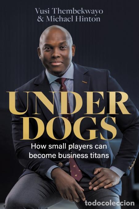 Livres: UNDERDOGS - How small players can become business titans - Vusi Thembekwayo,Michael Hinton