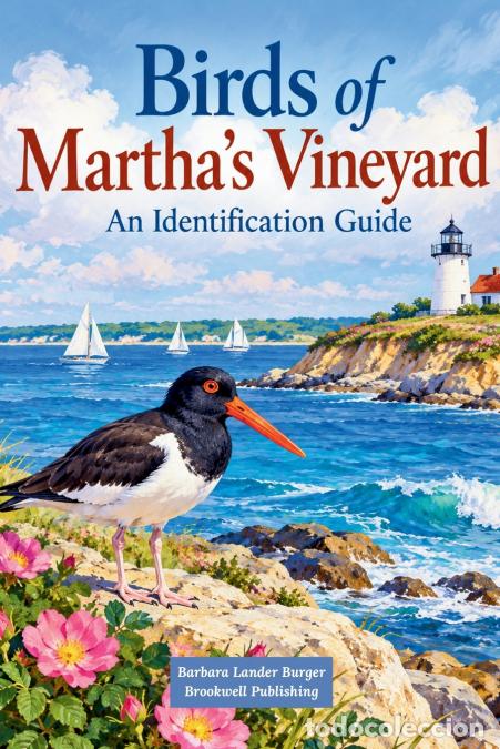 Libros: Birds of Martha?s Vineyard - An Identification Guide - Barbara Lander Burger