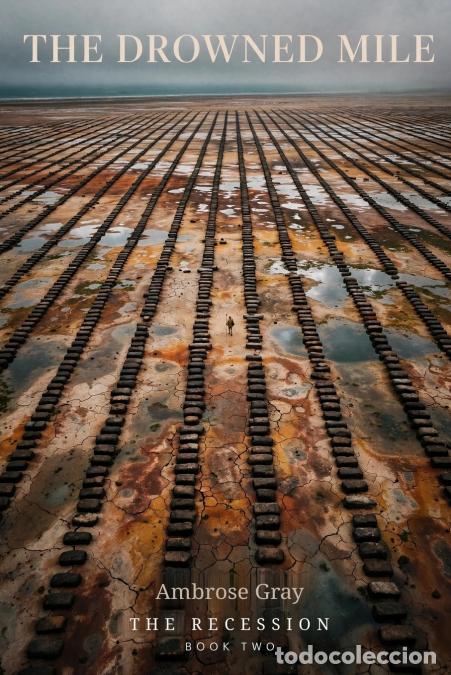 Libros: The Drowned Mile - Ambrose Gray - Foto 1
