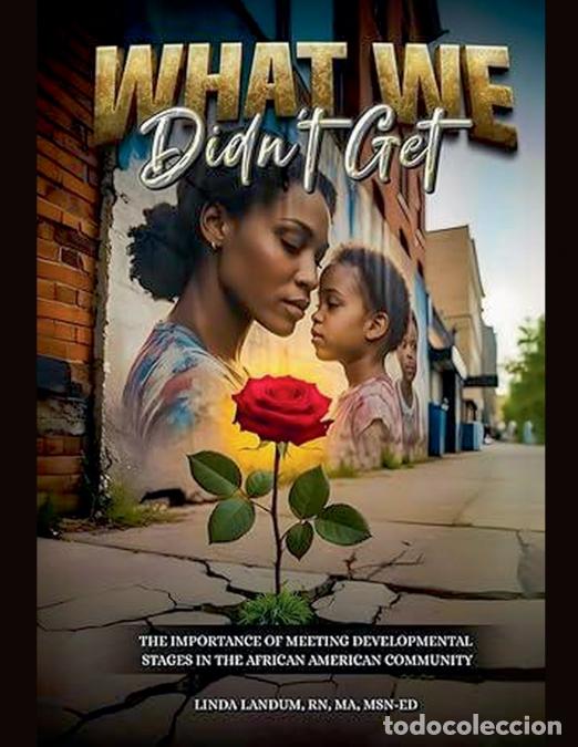 Livros: What We Didn?t Get - Linda Landum