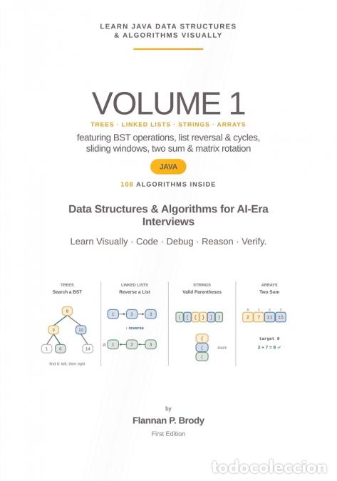 Livres: Learn Java Data Structures & Algorithms Visually - Volume 1 - Data Structures & Algorithms for AI-Er