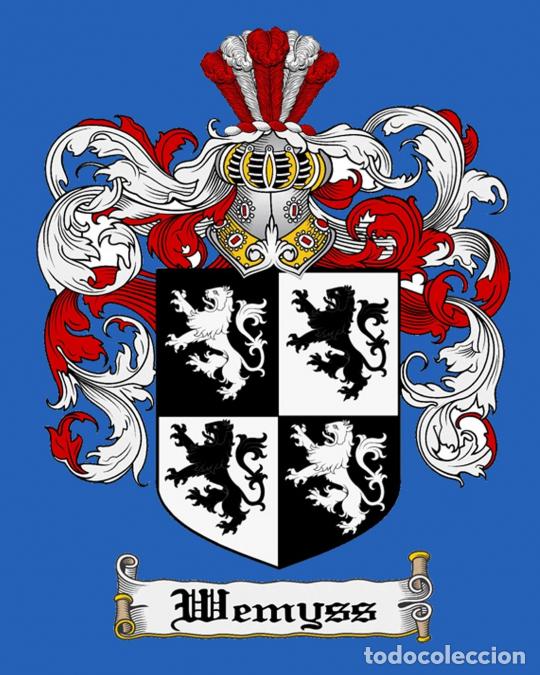 Livros: Wemyss of Ireland - Theresa Cleaver