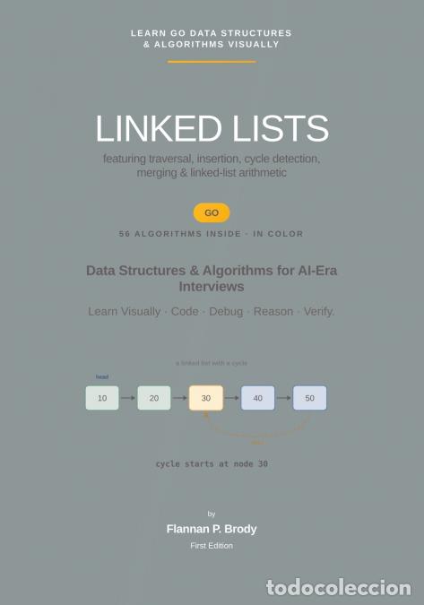 Libros: Linked Lists - Go Edition - Data Structures & Algorithms for AI-Era Interviews - Flannan P. Brody - Foto 1