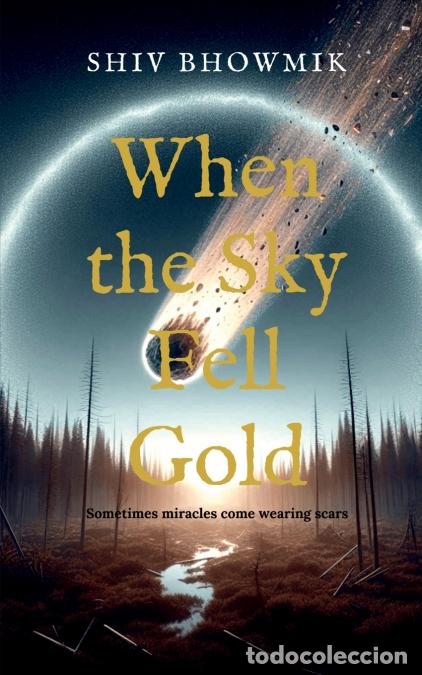 B&uuml;cher: When the Sky Fell Gold - Sometimes miracles come wearing scars - Shiv Bhowmik