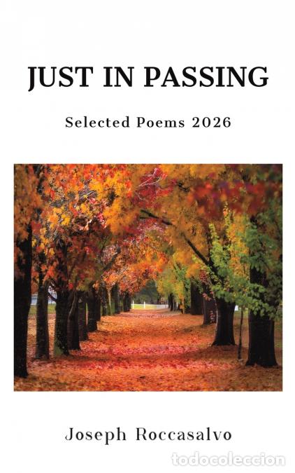 B&uuml;cher: Just in Passing - Joseph Roccasalvo