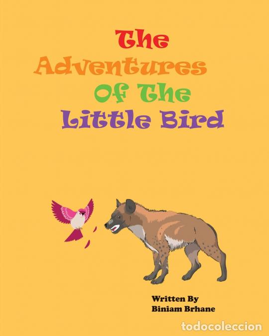 Libri: The Adventures of the Little Bird - Biniam Brhane