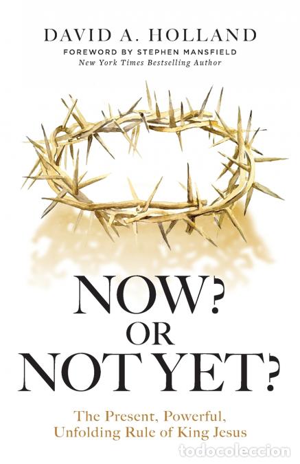 Libros: Now? Or Not Yet? - David A. Holland