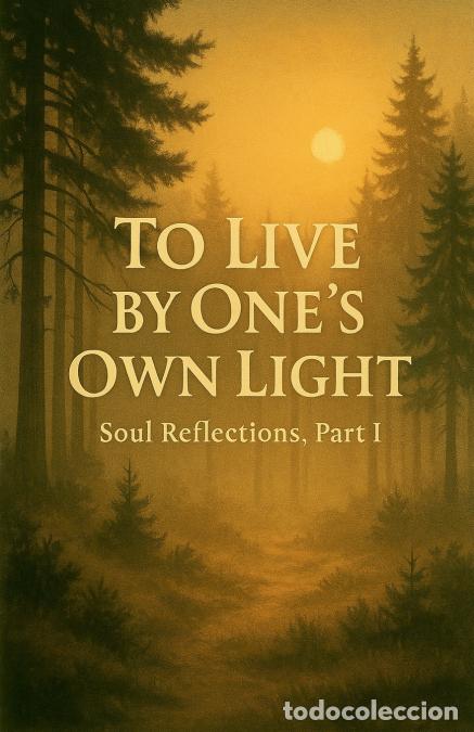 Libri: To Live by One?s Own Light - Soul Reflections, Part 1 - Giancarlo Hernandez Vela