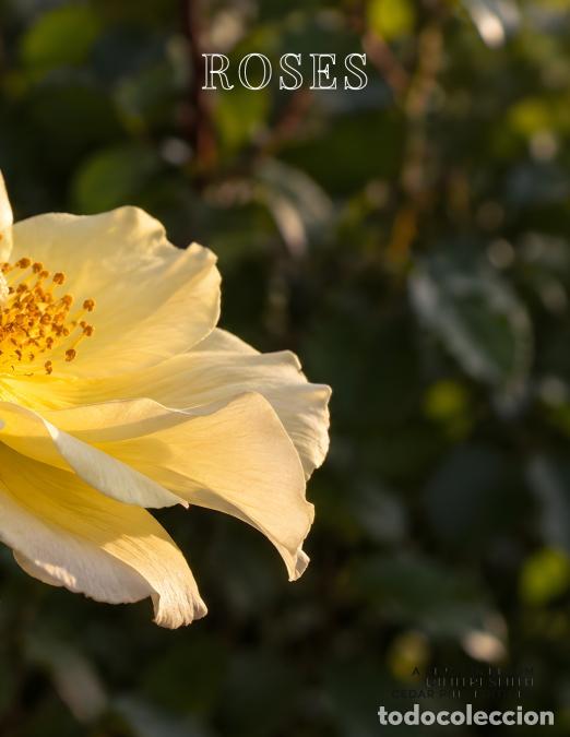 Libri: Roses - A Study in Bloom - Smith