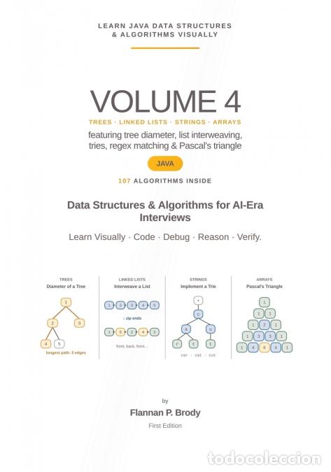 Libros: Learn Java Data Structures & Algorithms Visually - Volume 4 - Data Structures & Algorithms for AI-Er - Foto 1