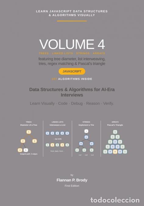 Libros: Learn JavaScript Data Structures & Algorithms Visually - Volume 4 - Data Structures & Algorithms for - Foto 1
