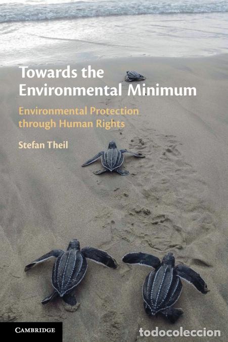 B&uuml;cher: Towards the Environmental Minimum - Stefan Theil