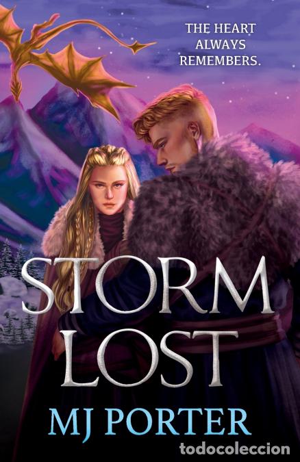 Libros: Stormlost - MJ Porter - Foto 1