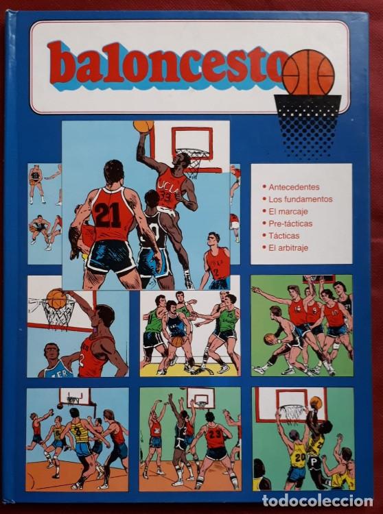 Coleccionismo deportivo: BALONCESTO - EDITORIAL MOLINO - 1986 - Foto 1