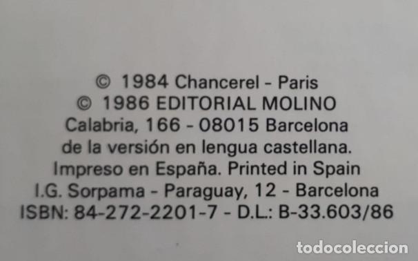 Coleccionismo deportivo: BALONCESTO - EDITORIAL MOLINO - 1986 - Foto 2