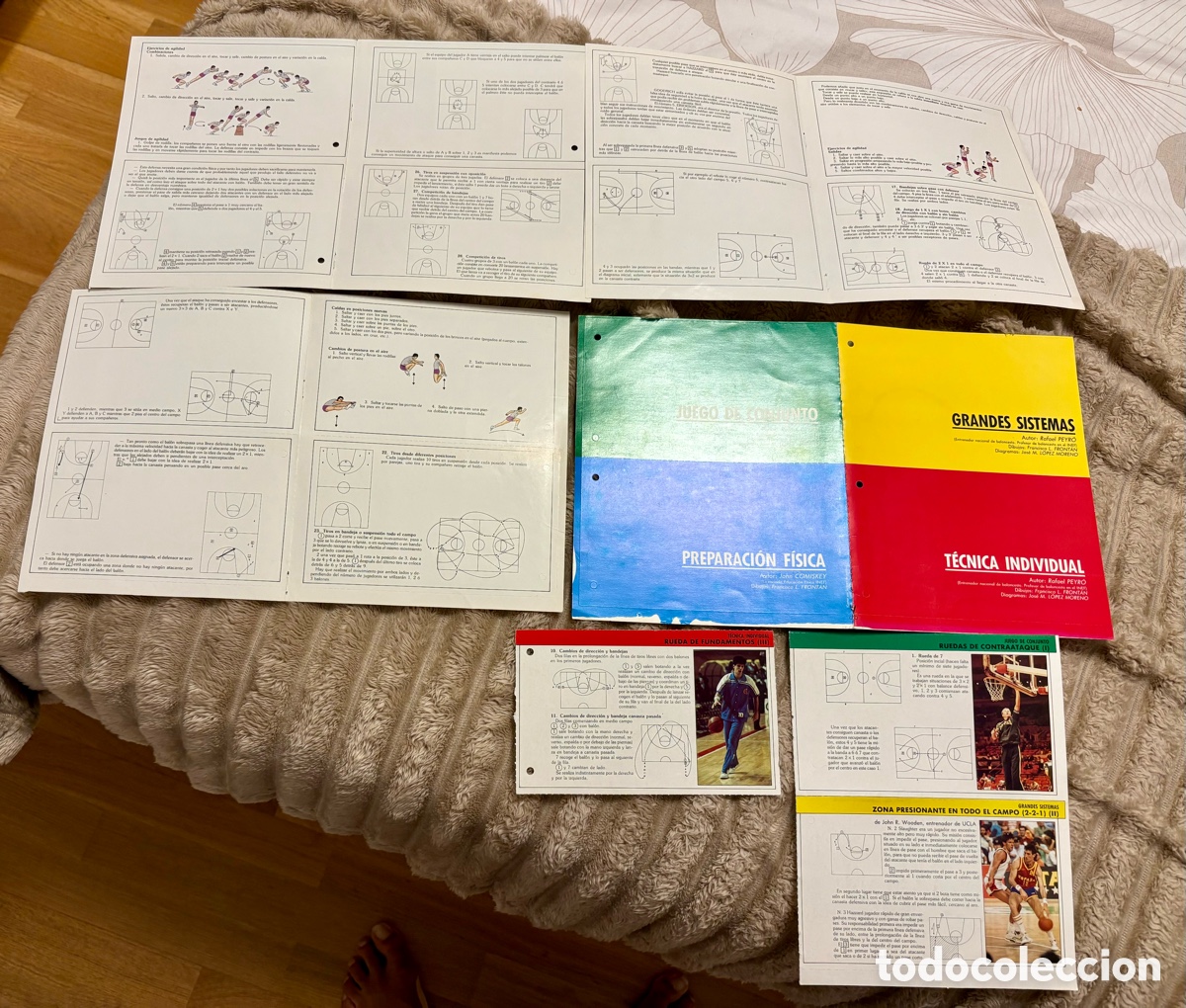 Coleccionismo deportivo: Desplegable Fichas T&eacute;cnicas Baloncesto - Rafael Peyr&oacute; (Gigantes del Basket)- 1986