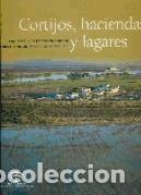 B&uuml;cher: Cortijos, haciendas y lagares: provincia de Sevilla: arquitectura de las grandes explotaciones