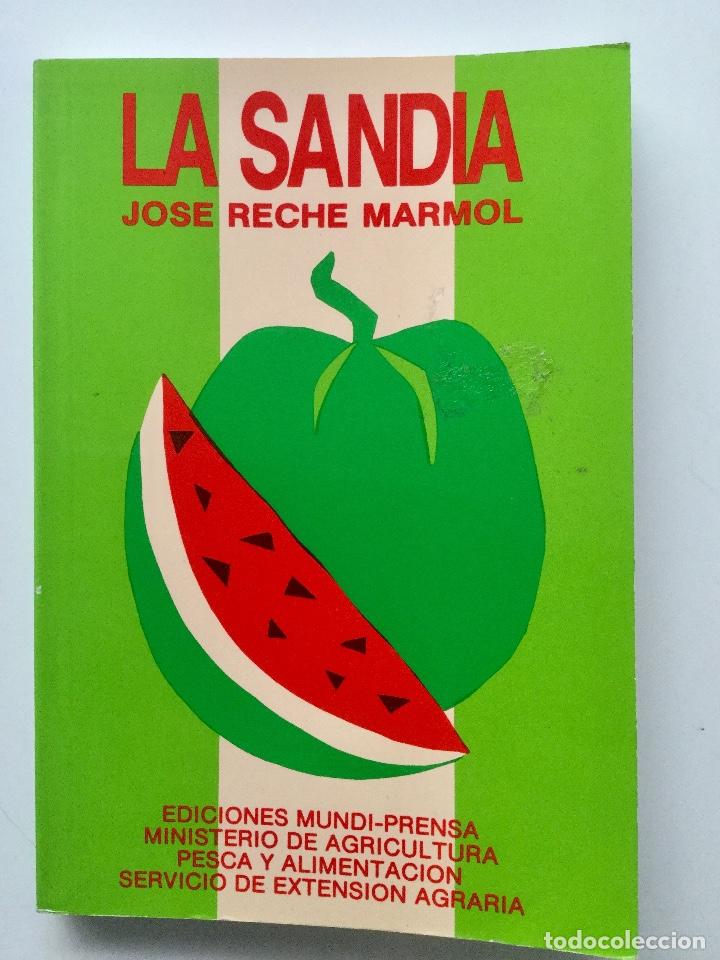 Libros: La Sandia. - Foto 1