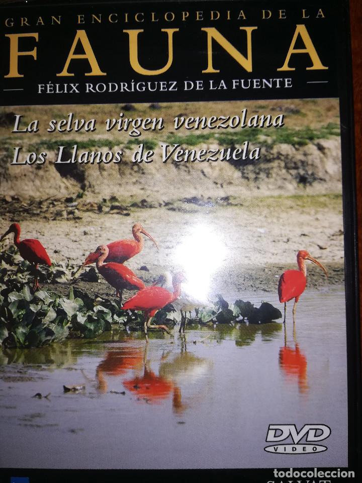 Libros: ENCICLOPEDIA DE LA FAUNA DE FELIX RODRIGEZ DE LA FUENTE 29 TOMOS Y DVD - Foto 3 - 135081206
