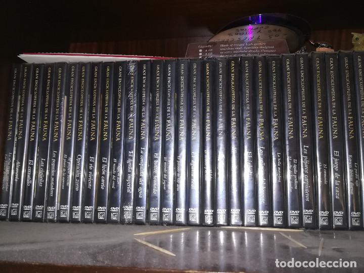 Libros: ENCICLOPEDIA DE LA FAUNA DE FELIX RODRIGEZ DE LA FUENTE 29 TOMOS Y DVD - Foto 4 - 135081206