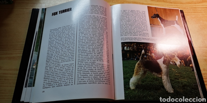 Libros: El gran libro de los Perros - Foto 3