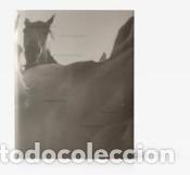 Libros: 2016 - Naranjo Martell., Manuel - Foto 1