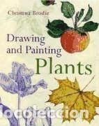 drawing and painting plants brodie christina Compra venta en