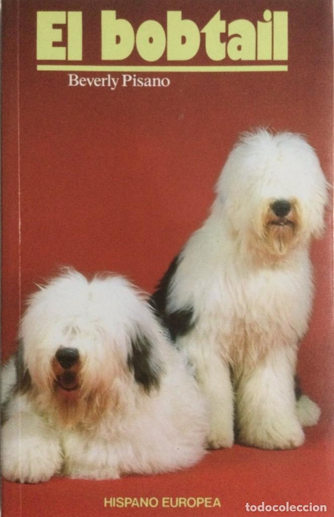 Libros: El Bobtail. B. Pisano. De Vecchi. NUEVO - Foto 1
