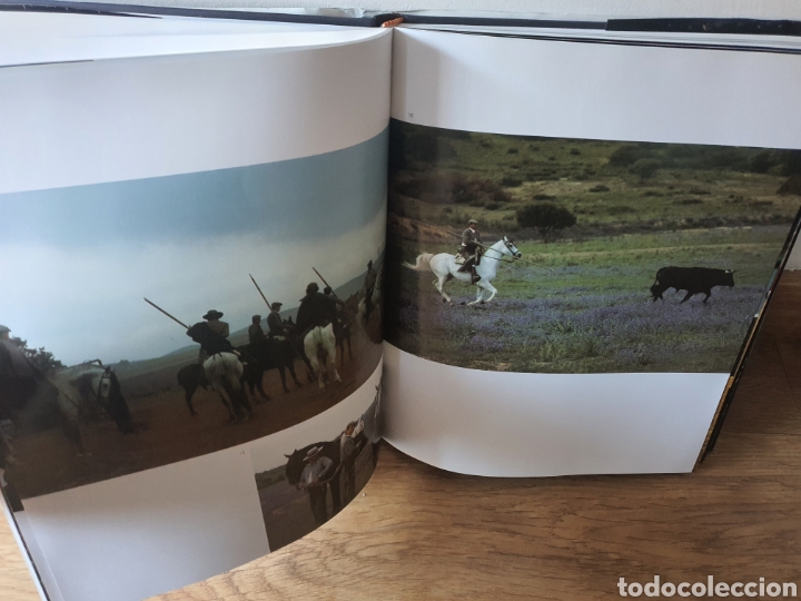 Libros: Libro caballo en Espa&ntilde;a de lunwerg - Foto 3