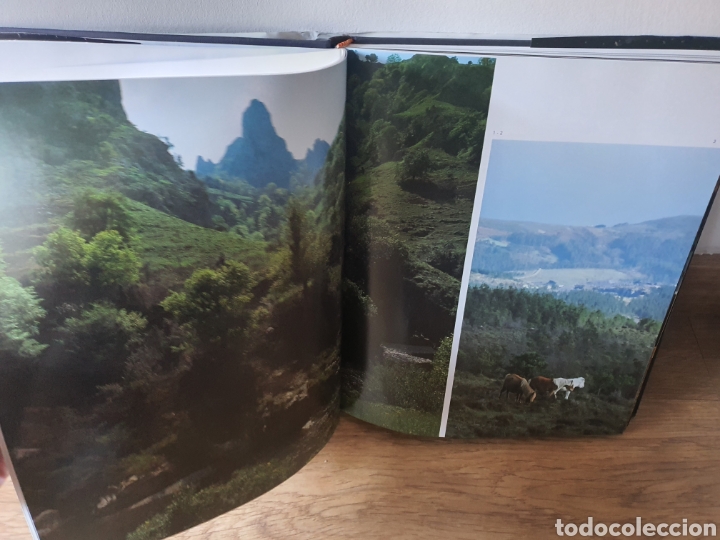 Libros: Libro caballo en Espa&ntilde;a de lunwerg - Foto 4
