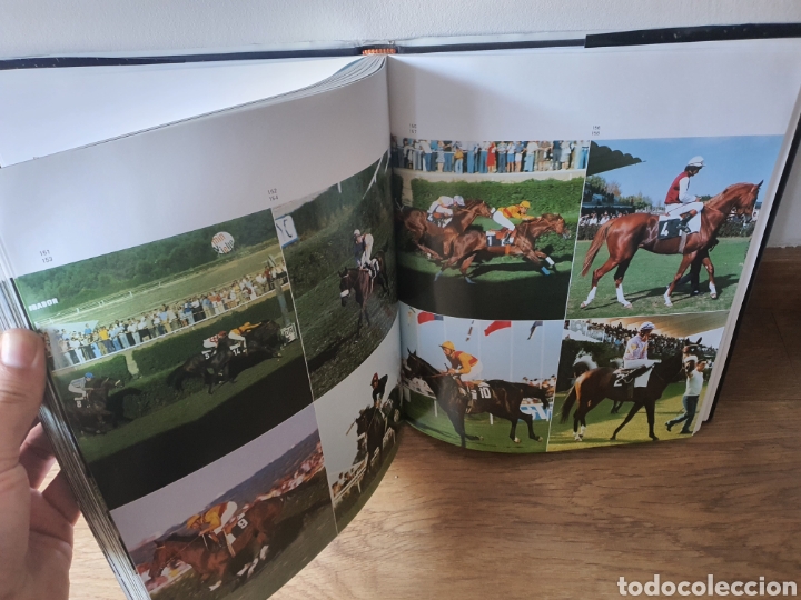 Libros: Libro caballo en Espa&ntilde;a de lunwerg - Foto 6