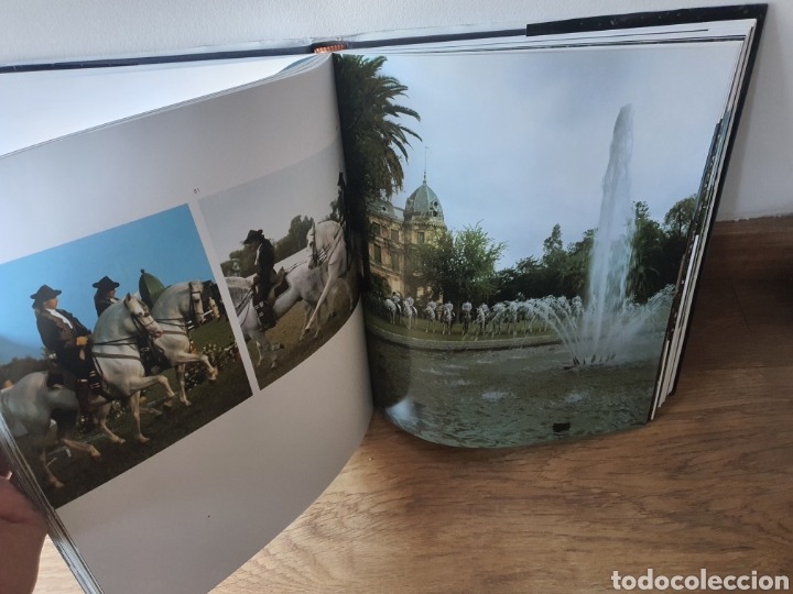 Libros: Libro caballo en Espa&ntilde;a de lunwerg - Foto 8