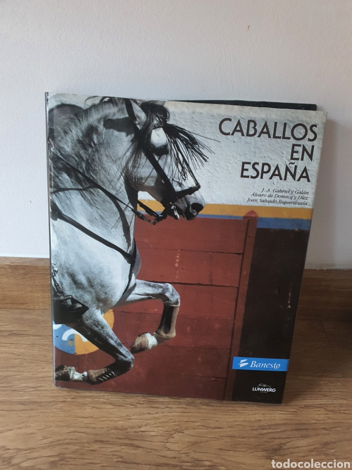 Libros: Libro caballo en Espa&ntilde;a de lunwerg - Foto 1