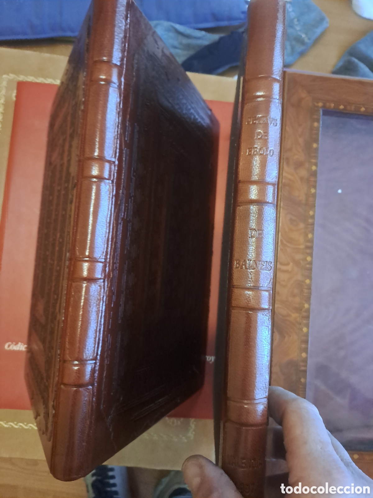 Libros: BALNEIS PUTEOLI. SCRIPTORIUM - Foto 2