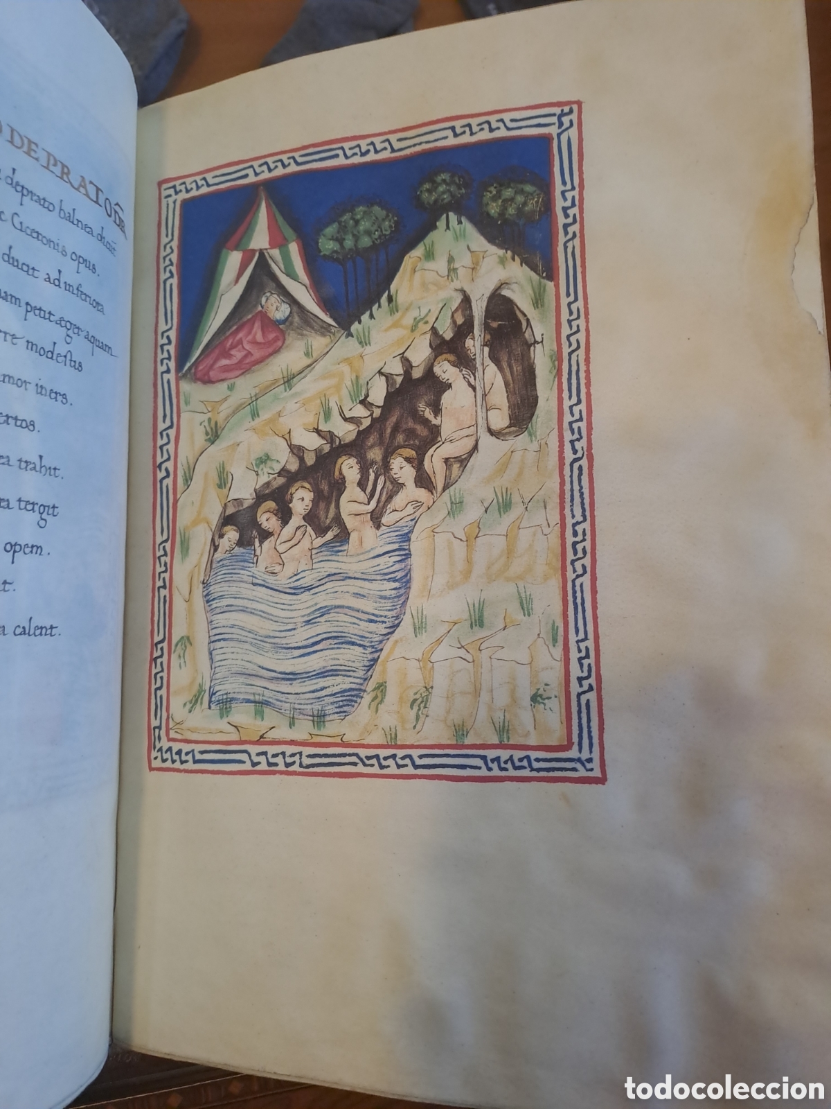 Libros: BALNEIS PUTEOLI. SCRIPTORIUM - Foto 3