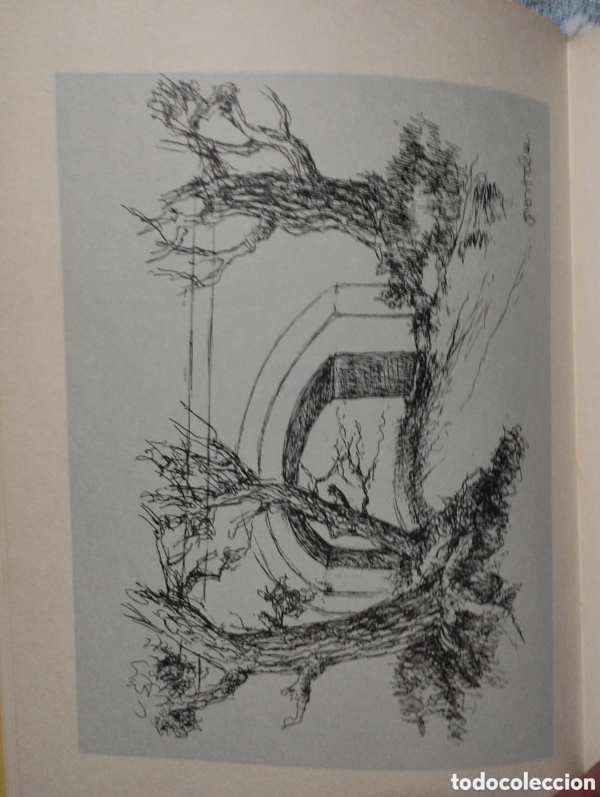 Libros: As pontes do Lerez - Foto 4