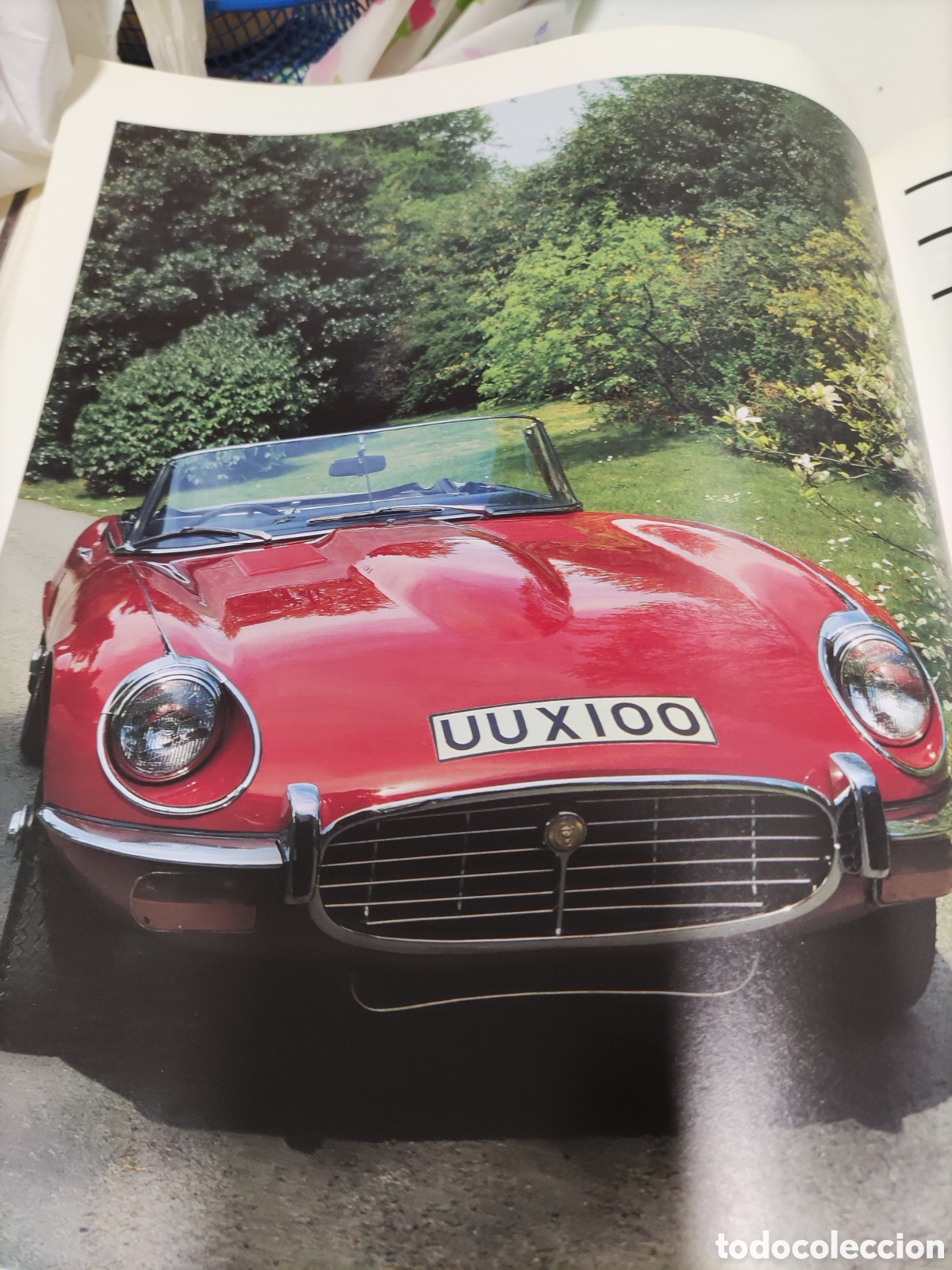 Libros: Jaguar libro colecci&oacute;n - Foto 2