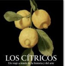 Libros: LOS CÍTRICOS: UN VIAJE A TRAVÉS DE LA HISTORIA Y DEL ARTE. - ZARAGOZA, SALVADOR