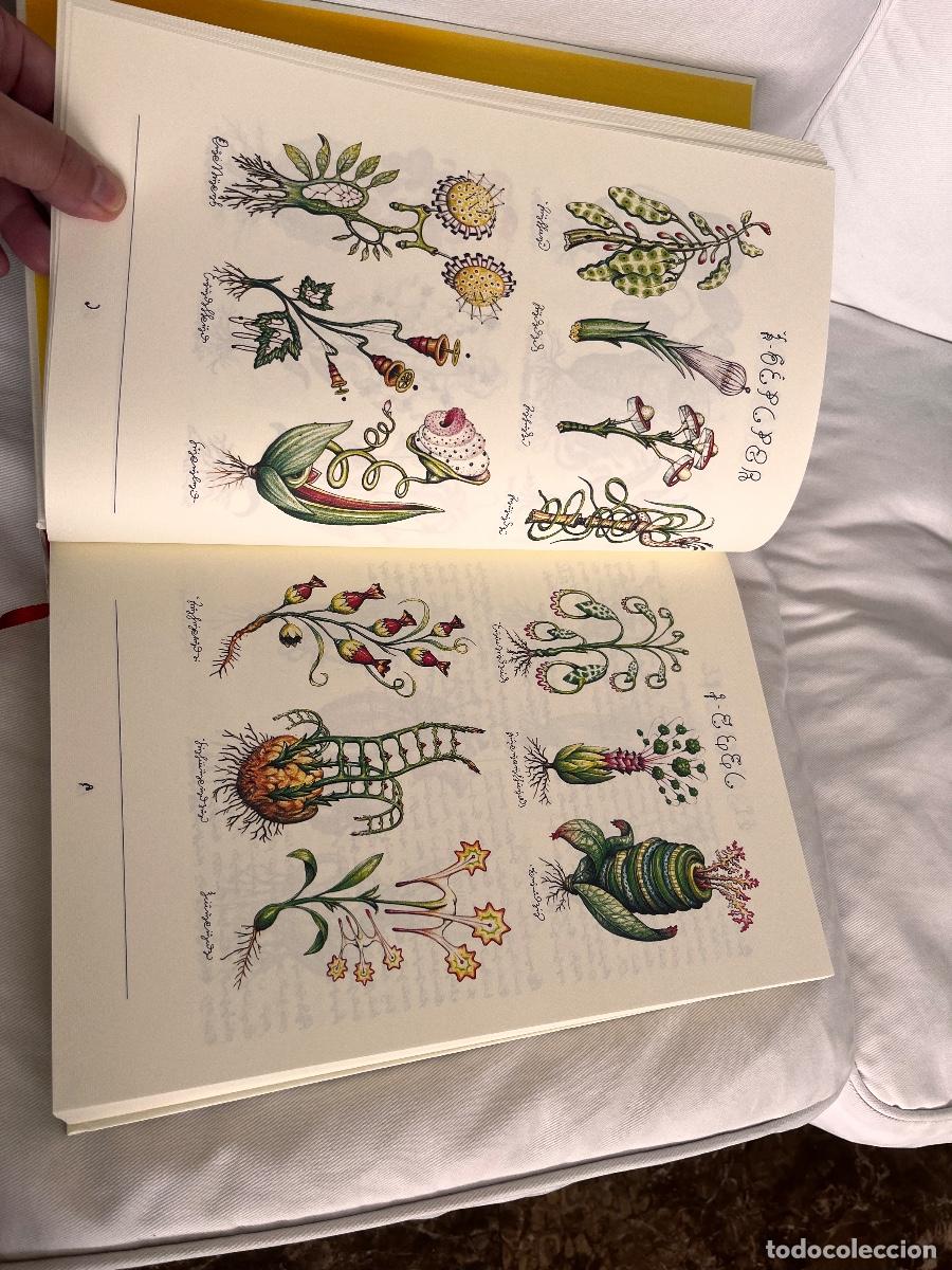 Libros: Codex Seraphinianus - Foto 5