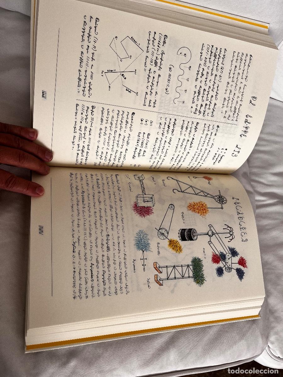 Libros: Codex Seraphinianus - Foto 6