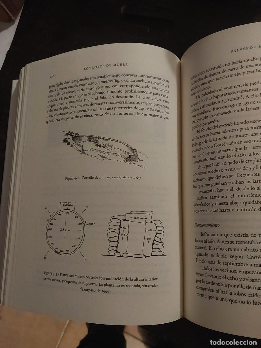 Libros: Los Lobos de Morla CAZA